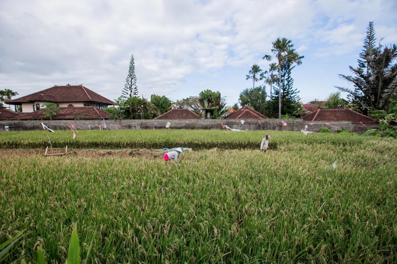 Villa Piece Of Peace Private 3Br With Large Pool And Garden Canggu Extérieur photo